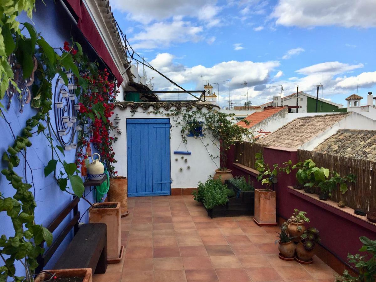 Atico Deluxe San Basilio Apartment Cordoba Exterior photo